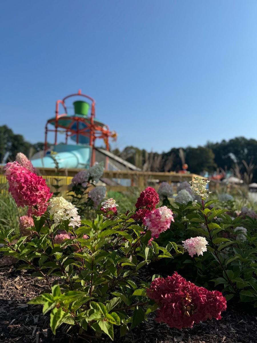 Park Wodny Polanica-Zdrój