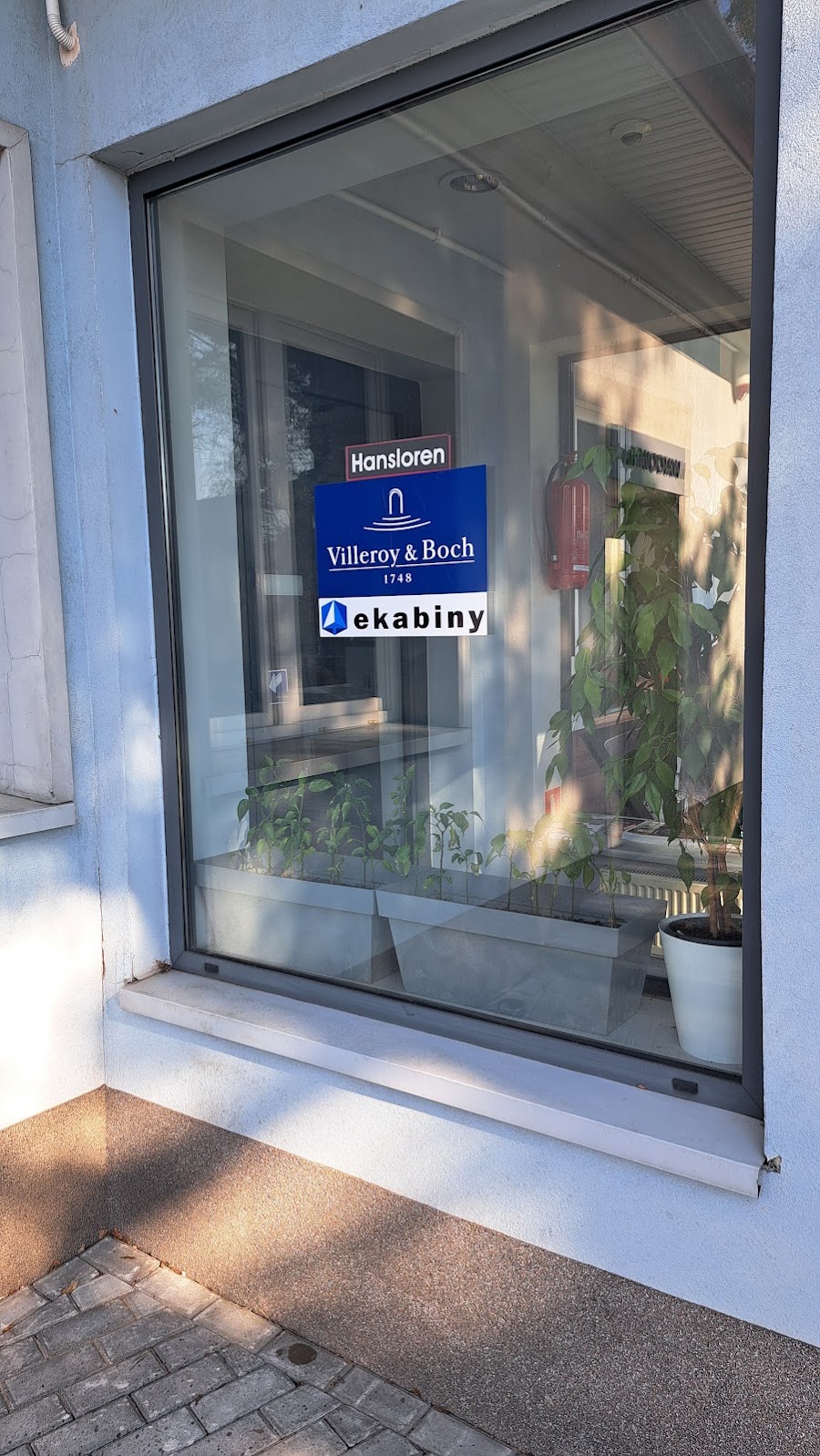 Brodziki