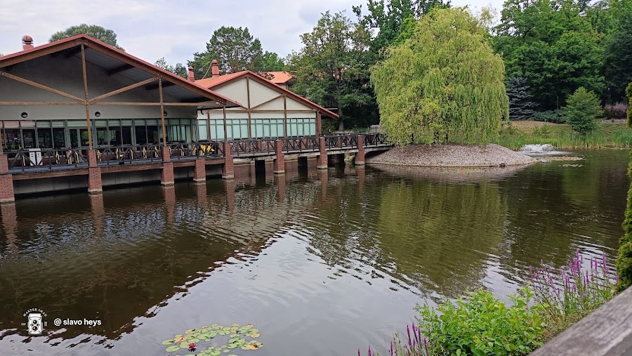 Stacja Nowa Gdynia – Aquapark